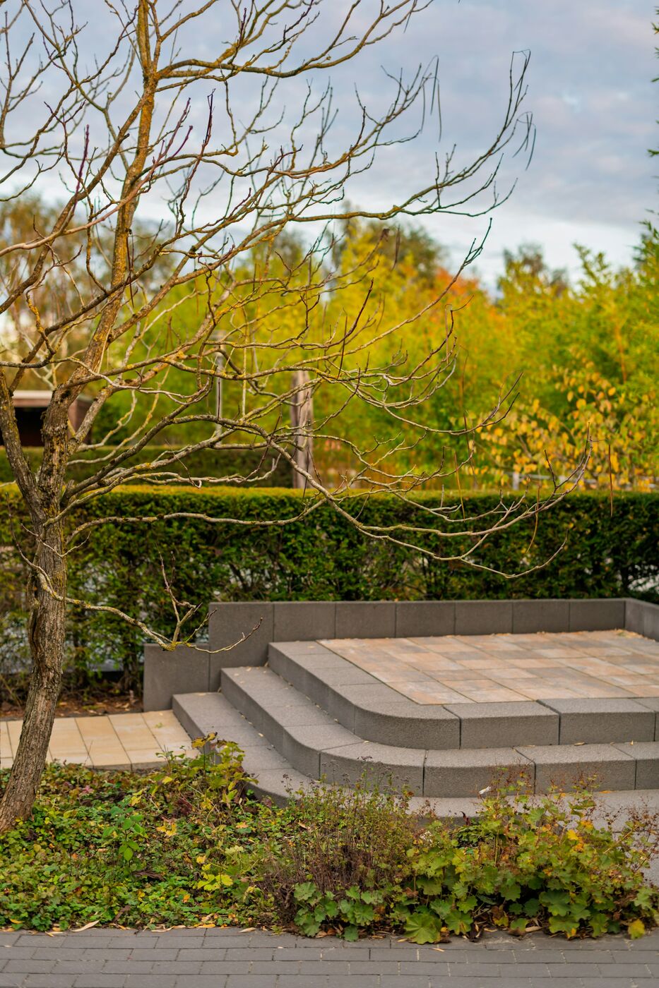 Natursteintreppe mit breiten Stufen, eingebettet in herbstliche Gartenbepflanzung